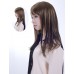 Wigs2you 接髪片 無痕假髪接髪片 長款直髪補髪塊 增厚加長假髪片 無劉海假髪套E-004